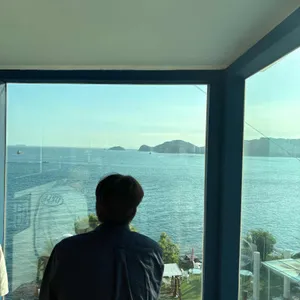 피시나 사진 2