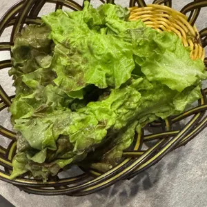 고품달 대표 사진