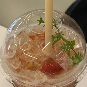 콘솔레 사진