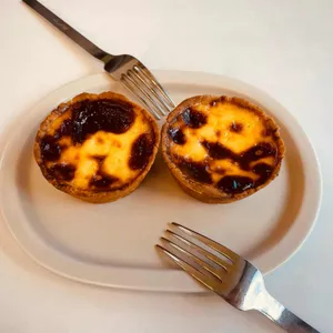 로로 사진
