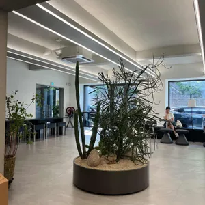 우드사이드 리뷰 사진