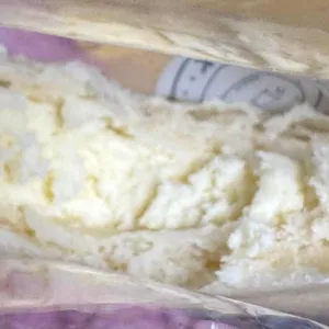 베이크백 사진 2