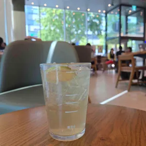 스타벅스 대표 사진