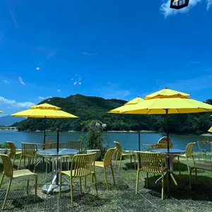 바실라 리뷰 사진