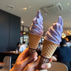 폴바셋 리뷰 사진