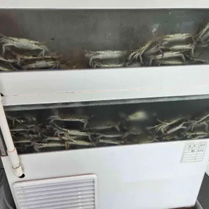 씽씽씨푸드 리뷰 사진