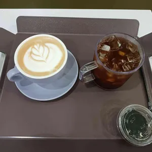 달리온 사진