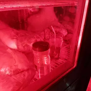 강화 통통 생고기 리뷰 사진
