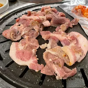 돼지따먹기 대표 사진
