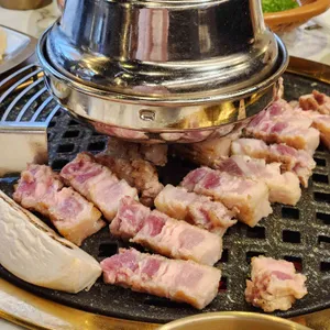 돈백꽃 사진