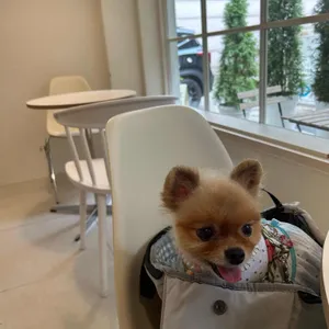 엔에이일공일 리뷰 사진