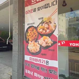 요하마라21 리뷰 사진