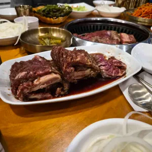 소나무가 있는 풍경 사진