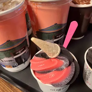 까멜리아 인 구룡포 사진 2