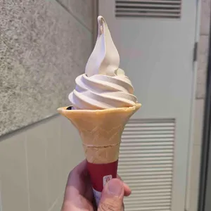 공차 사진 1