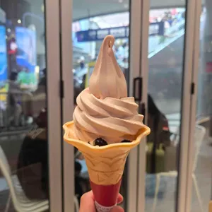 공차 사진