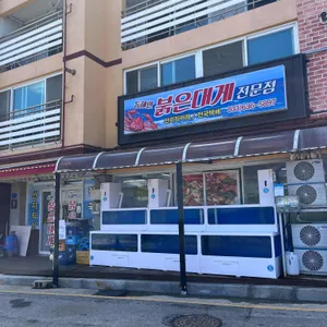 동해안붉은대게 리뷰 사진
