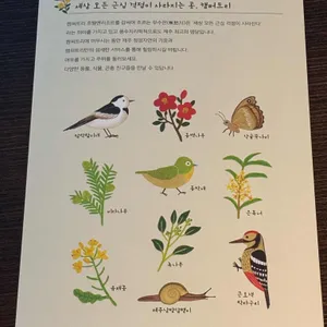 캠퍼트리 호텔 더뷰 리뷰 사진