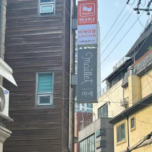 마얘(Maillet) 대표 사진