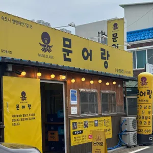 문어랑 사진