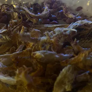 역전할머니맥주 리뷰 사진