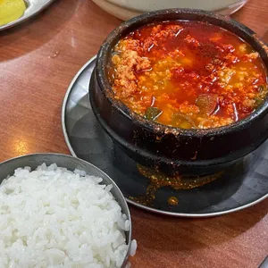 신해바라기 사진