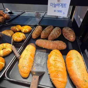 달빛새 대표 사진