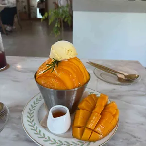 비마이게스트 대표 사진