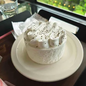 아프리코 사진