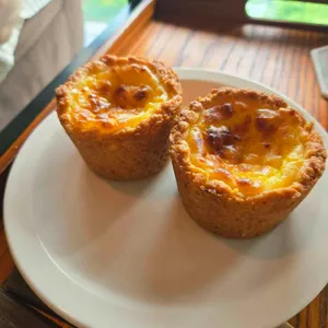 아프리코 사진