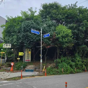 아프리코 리뷰 사진