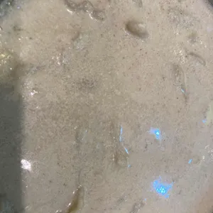 통큰칼국수 사진