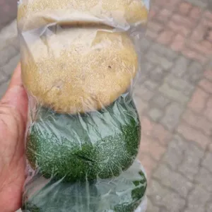탐나쑥빵 리뷰 사진