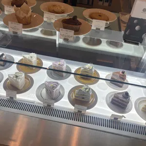 투닷츠 로스터즈 사진 1
