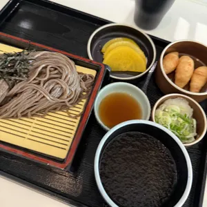 송 사진 1