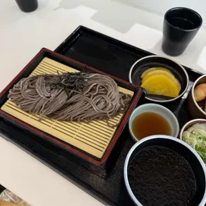 송 사진 2