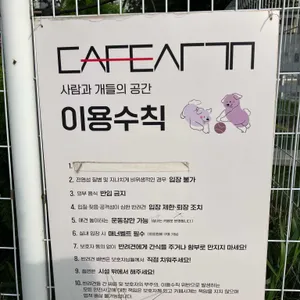 카페사개 리뷰 사진
