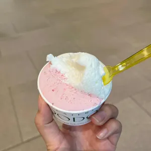 젤라떼리아 도도 사진