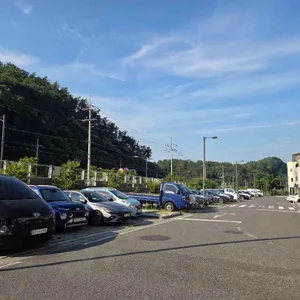 멜버나잇 리뷰 사진