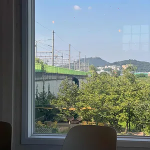느티나무 리뷰 사진