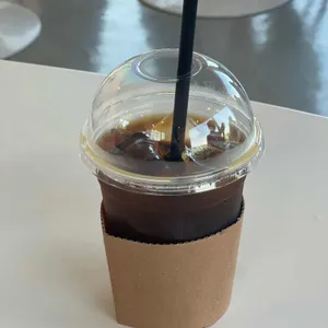 느티나무 사진