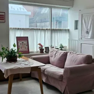 비테 도산 리뷰 사진
