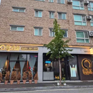 양기와 대표 사진