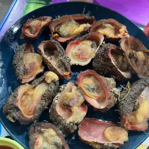 동해남부선 사진