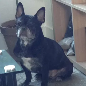 산호 리뷰 사진