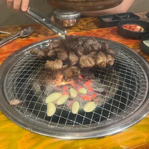 망원갈매기 사진