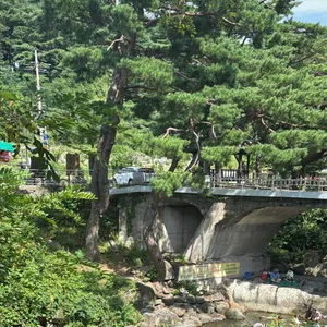 뚜구리네 사진 1
