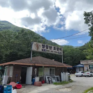 방장산호랑이 리뷰 사진