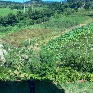 카페백월543 리뷰 사진