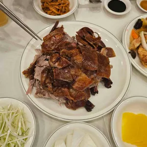 베이징코야 사진